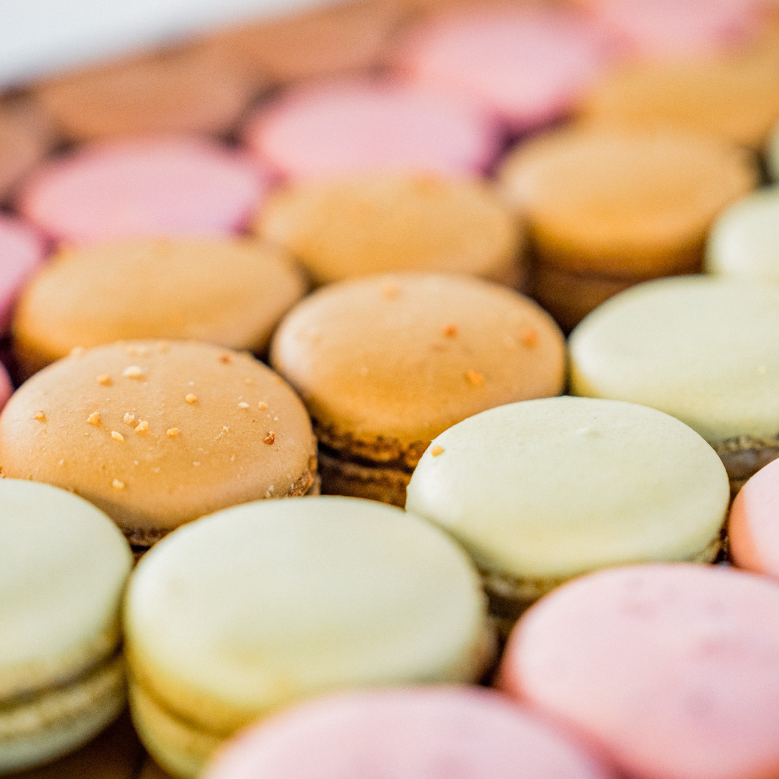 dessert macaron